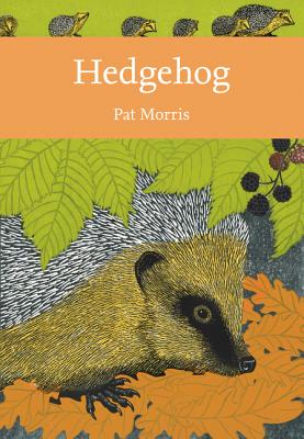 Hedgehog