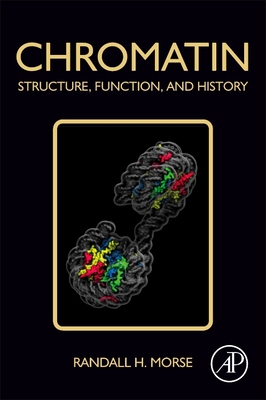 Chromatin: Structure, Function, and History