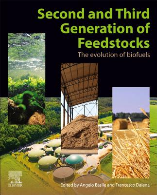 Second and Third Generation of Feedstocks: The Evolution of Biofuels