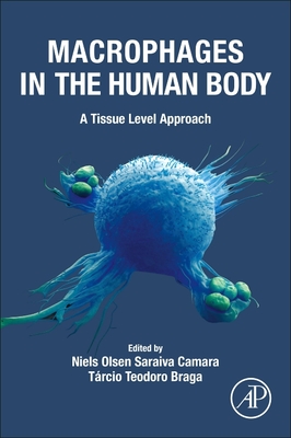 Macrophages in the Human Body: A Tissue Level Approach