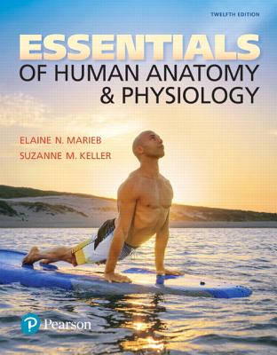 Essentials of Human Anatomy & Physiology Plus Mastering A&p with Pearson Etext -- Access Card Package