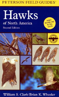 Hawks of North America