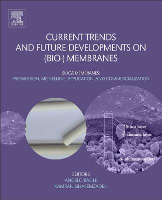 Current Trends and Future Developments on (Bio-) Membranes: Silica Membranes: Preparation, Modelling, Application, and Commercialization