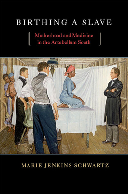 Birthing a Slave: Motherhood and Medicine in the Antebellum South