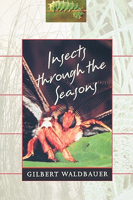 Insects Through the Seasons