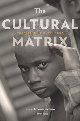 Cultural Matrix: Understanding Black Youth