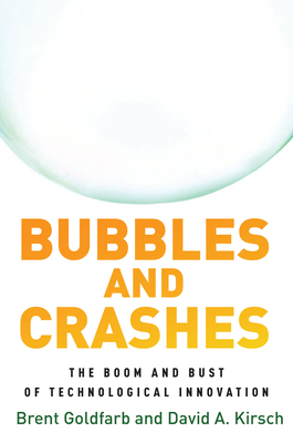 Bubbles and Crashes: The Boom and Bust of Technological Innovation