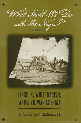 What Shall We Do with the Negro?: Lincoln, White Racism, and Civil War America