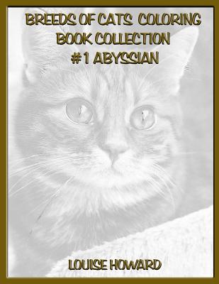 Breeds of Cats Coloring Book Collection #1 Abyssian