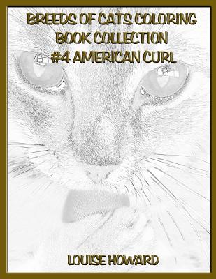 Breeds of Cats Coloring Book Collection #4 American Curl