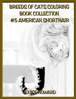 Breeds of Cats Coloring Book Collection #5 American Shorthair