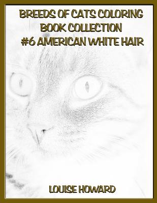 Breeds of Cats Coloring Book Collection #6 American Witehair
