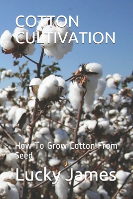 Cotton Cultivation: How To Grow Cotton From Seed
