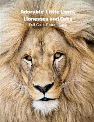 Adorable Lion, Lionesses and Cubs Full-Color Picture Book: Lion Picture Book for Children, Seniors and Alzheimer's Patients