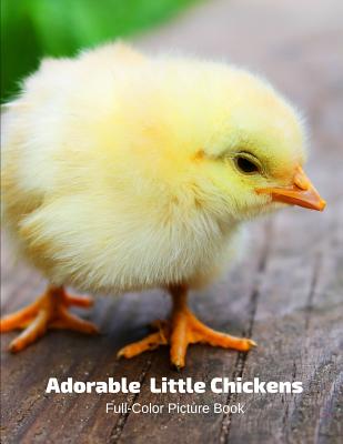Adorable Little Chickens Full-Color Picture Book: Chicken and Chicks Picture Book for Children, Seniors and Alzheimer's Patients