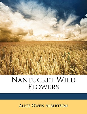 Nantucket Wild Flowers