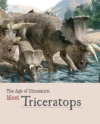 Meet Triceratops