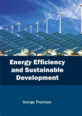 Energy Efficiency and Sustainable Development
