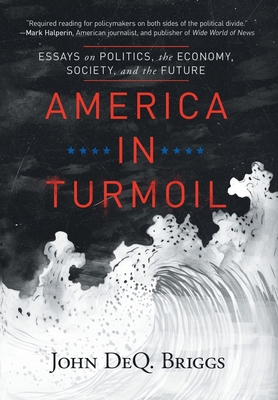 America in Turmoil: Essays on Politics, the Economy, Society, and the Future