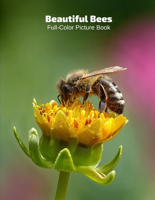 Beautiful Bees Full-Color Picture Book: Insects Picture Book for Children, Seniors and Alzheimer's Patients -Insects Bugs