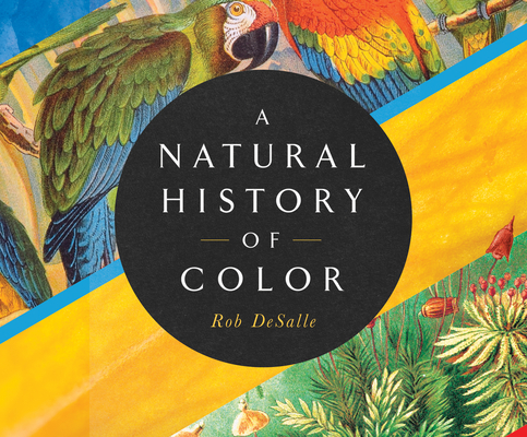 A Natural History of Color: The Science Behind What We See and How We See It