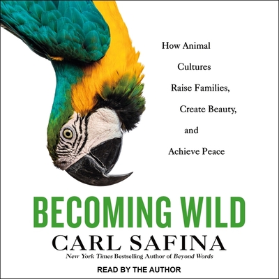 Becoming Wild Lib/E: How Animals Learn to Be Animals