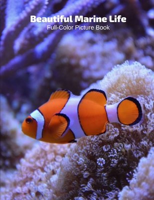 Beautiful Marine Life Full-Color Picture Book: Marine Life Picture Book for Children, Seniors and Alzheimer's Patients -Mammals Wildlife Nature