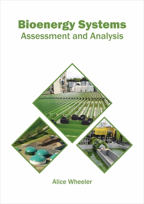 Bioenergy Systems: Assessment and Analysis