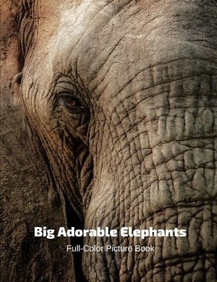 Big Adorable Elephant Full-Color Picture Book: Elephant Photography Book- Wildlife Animal Nature