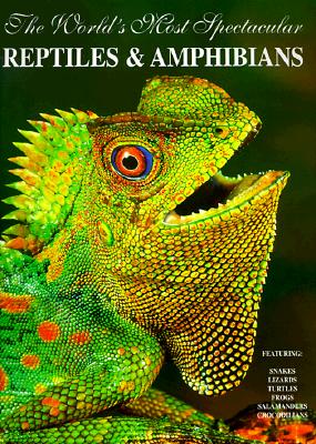 The World's Most Spectacular Reptiles and Amphinas
