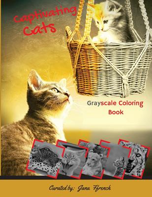 Captivating Cats Grayscale Coloring Book: Grayscale Coloring book/Adult Grayscale Coloring