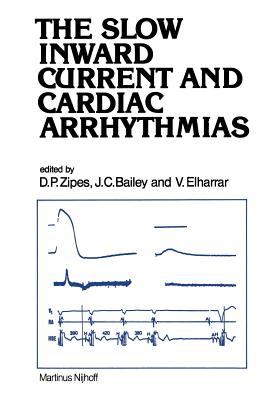 The Slow Inward Current and Cardiac Arrhythmias