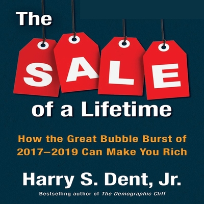 The Sale a Lifetime Lib/E: How the Great Bubble Burst of 2017-2019 Can Make You Rich