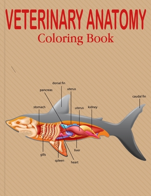 Veterinary Anatomy Coloring Book: Animal Anatomy and Veterinary Coloring Book Best gift for your student .Vol-1