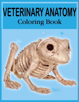 Veterinary Anatomy Coloring Book: The New Surprising Magnificent Learning Structure For Veterinary Anatomy Students.