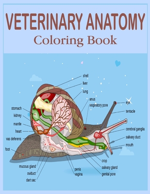 Veterinary Anatomy Coloring Book: The New Surprising Magnificent Learning Structure For Veterinary Anatomy Students .Vol-1