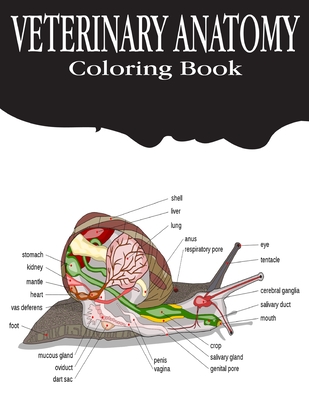 Veterinary Anatomy Coloring Book: Anatomy Magnificent Learning Structure for Students & Even Adults .Vol-1