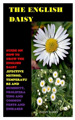 The English Daisy: Guide on How to Grow the English Daisy .Effective Method, Temperature And Humidity, Proliferating And Common Pests And Diseases