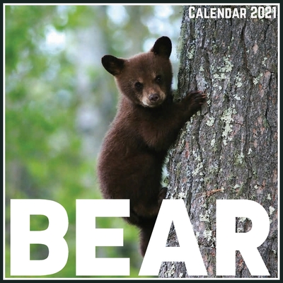 Bear Calendar 2021: Official Bear Calendar 2021, 12 Months