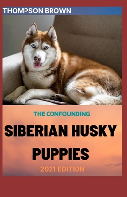 The Confounding Siberian Husky Puppies 2021 Edition: Everything You Need To Know About Siberian dogs.